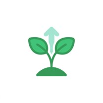 Growing plant sprout